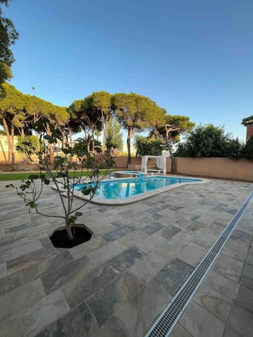 Villa Brasilia Chiclana de la Frontera Dış mekan fotoğraf
