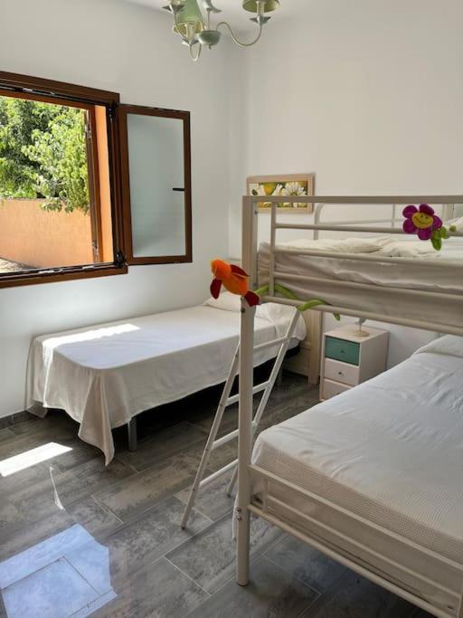 Villa Brasilia Chiclana de la Frontera Dış mekan fotoğraf